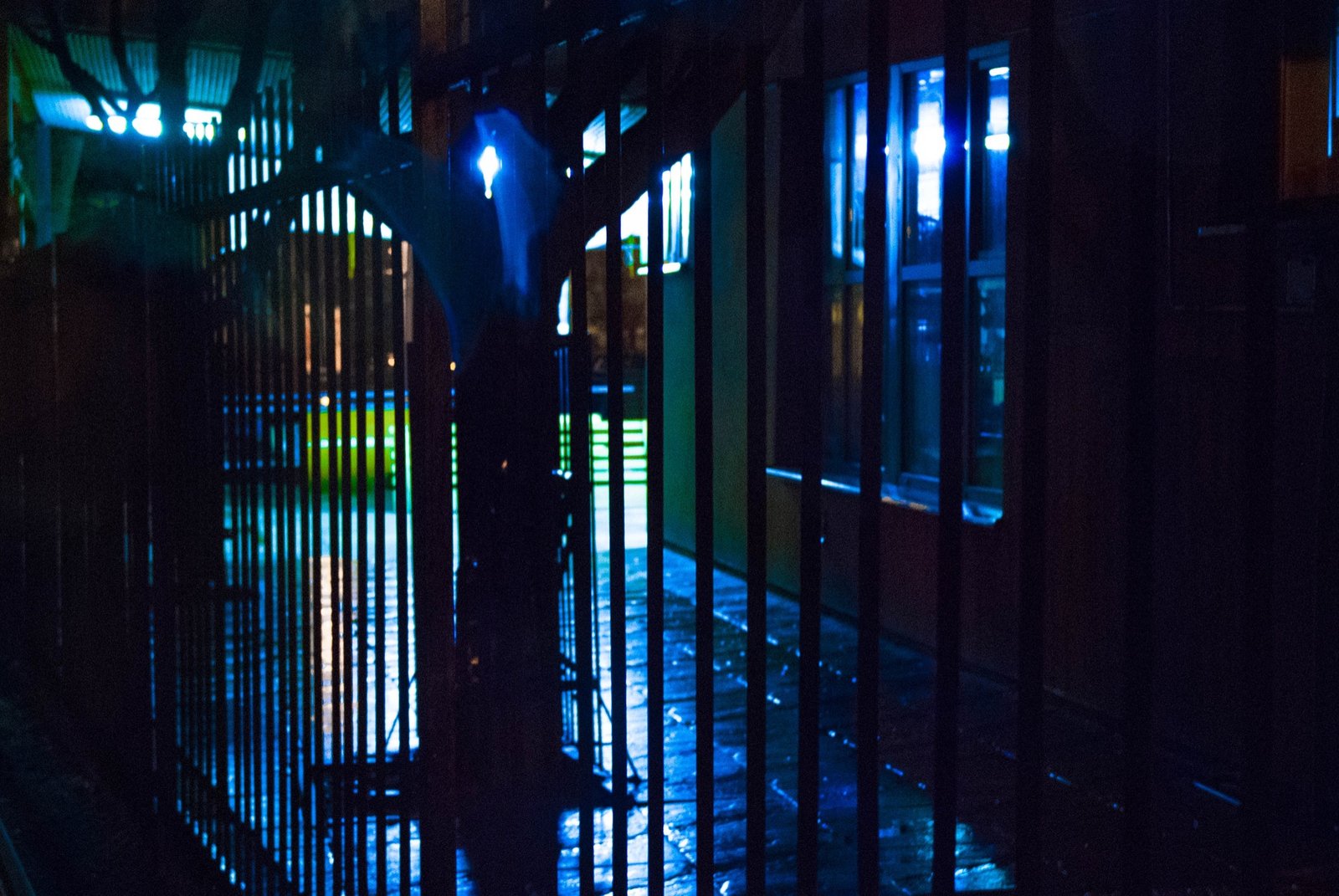 night lights detail