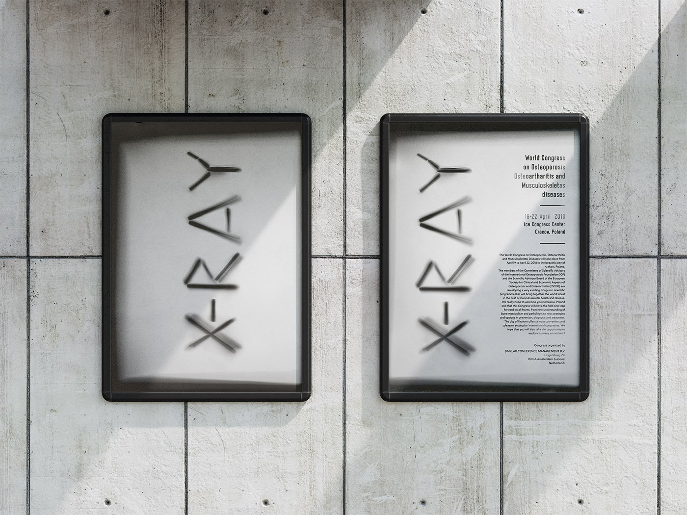 X-RAY detail